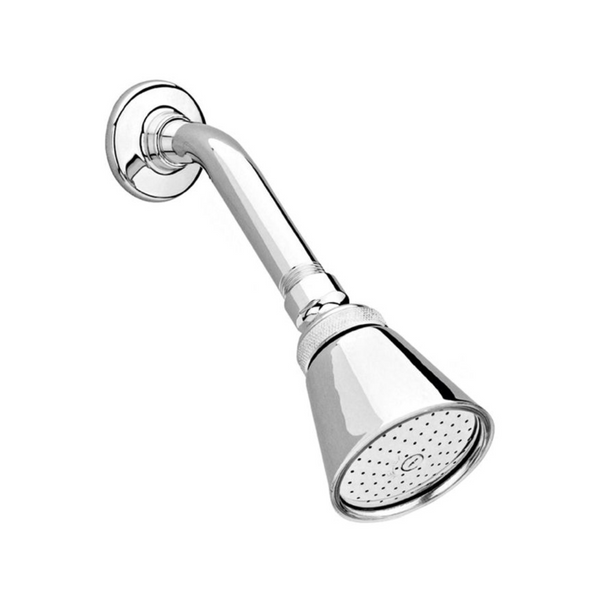 REGADERA OPTIMA CROMO H-200