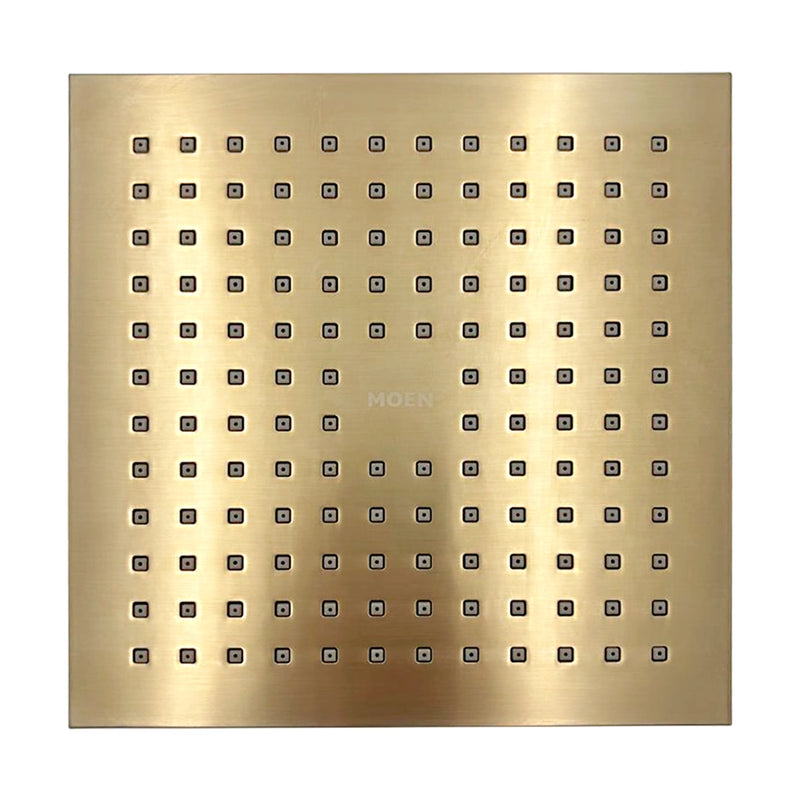 REGADERA MEDORA MOEN 6873